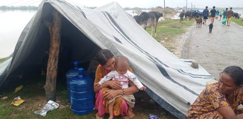 कैलालीका बाढीपीडित भन्छन्– ‘बाढीको दीर्घकालीन समस्या समाधान गर्नेलाई भोट दिन्छौँ’