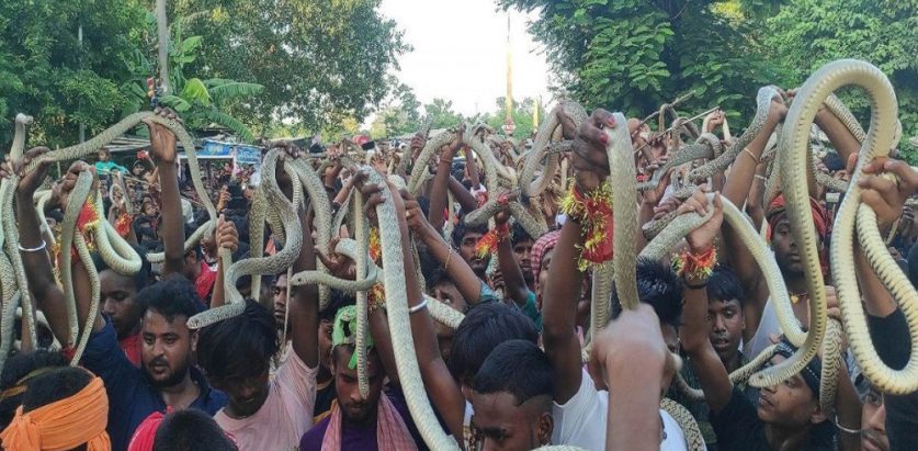सर्प मेला : जहाँ सर्प बोक्ने र सर्प चढाउने गरिन्छ