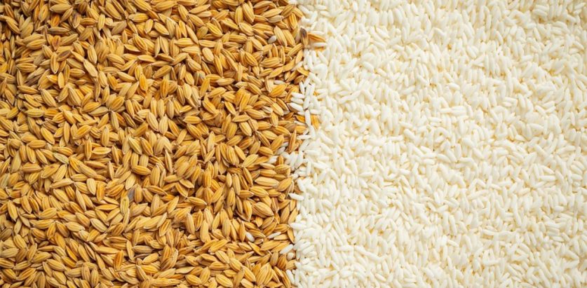 भारतले नेपाल आउने धानमा लगाएको भन्सार शुल्क हटायो