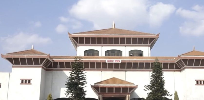 प्रतिनिधिसभामा विविधताको प्रतिनिधित्व