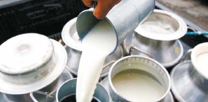 आन्दोलनरत दुग्ध किसान र सरकारबीच ५ बुँदे सहमति