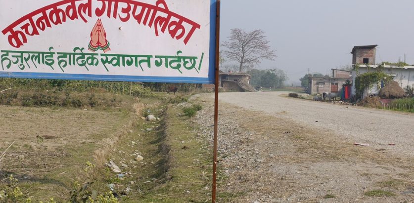 कचनकवलमा  एउटै रुखमा दुई जना झुण्डीएको अवस्थामा भेटियो