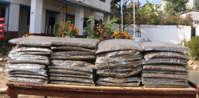 झण्डै १०० केजी गाँजासहित धनकुटा र मोरङबाट ६ जना पक्राउ
