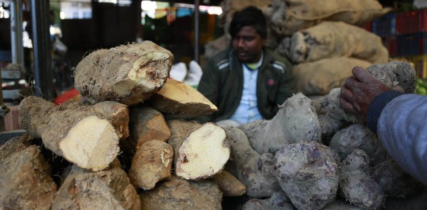 बढ्यो तरूलकाे व्यापार