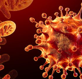 पुनः कोरोना सङ्क्रमण देखिन थाल्यो सुदूरपश्चिमा