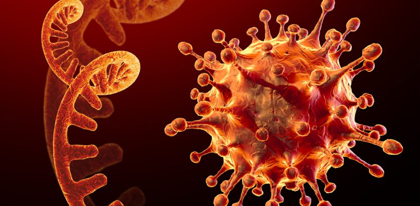 नेपालमा कोरोना भाइरसको जोखिम फेरि बढ्दै, एकै दिन १७ जनामा संक्रमण