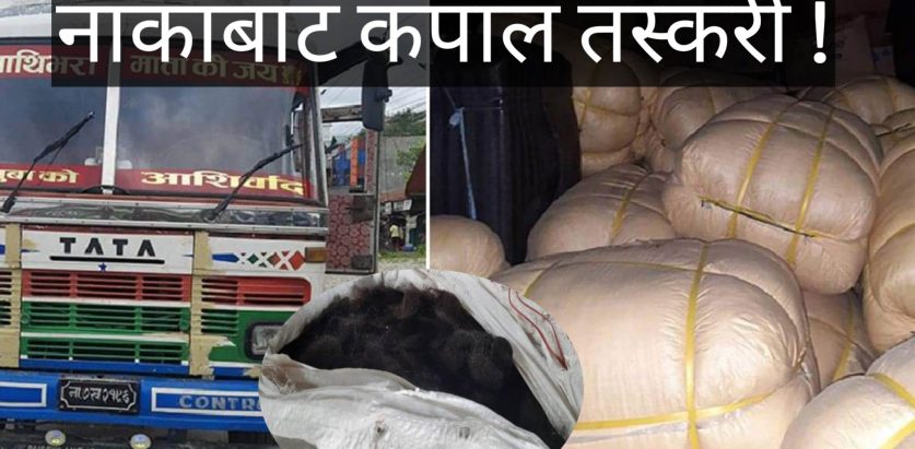 यसरी हुदैछ गौरीगञ्‍ज र पूर्वी नाका बाट कपाल तस्करी !