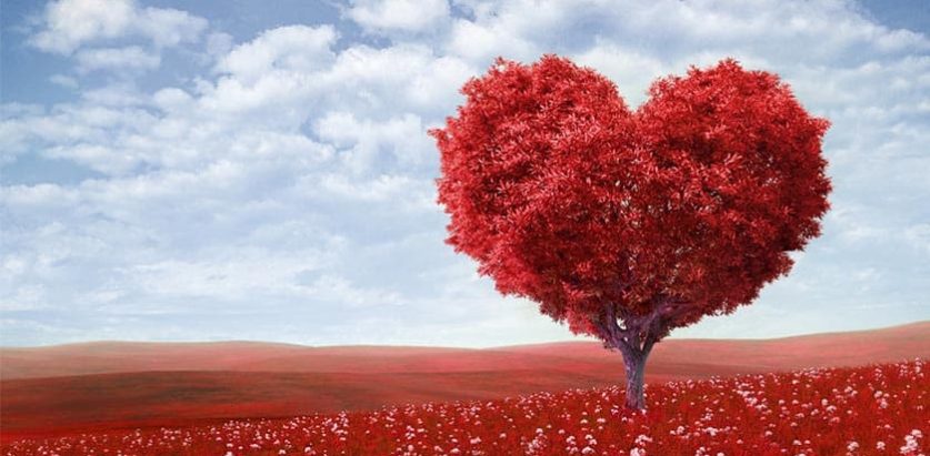 आज प्रणय दिवस, विश्वभर प्रेम साटासाट गरी मनाइँदै