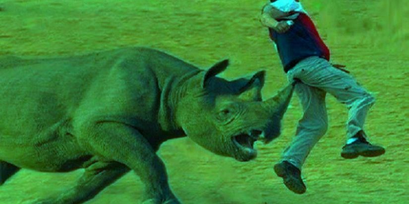 गैँडाको आक्रमणबाट चितवनमा एकको मृत्यु