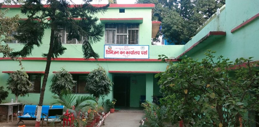 घुस लिएको भिडियो फेला परेपछि पर्साका सहायक वन अधिकृत यादव निलम्वित