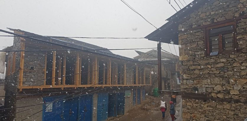 खडेरीपछिको हिमपातले किसान खुसी