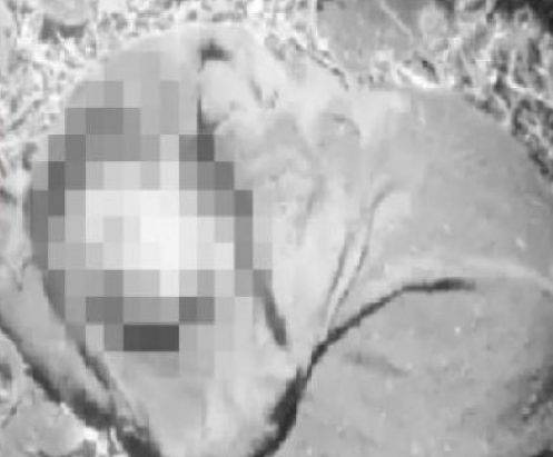 तिलजला क्षेत्रमा सात वर्षीय बालिकाको शव बोरामा फेला