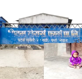 शिवम लेयर्स फार्मको दुर्गन्धले पर्साको पाँच बस्तीका जनता मारमा