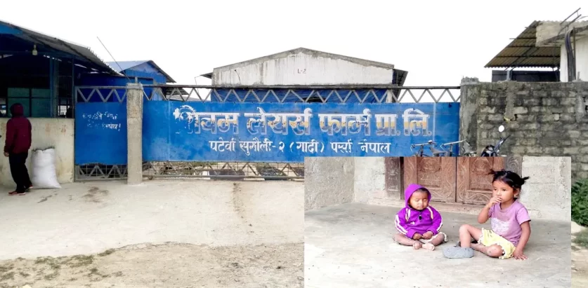 शिवम लेयर्स फार्मको दुर्गन्धले पर्साको पाँच बस्तीका जनता मारमा
