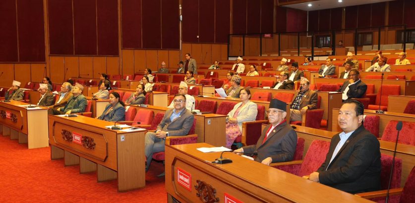 मिटरब्याजीपीडितको समस्या समाधान गर्न सरकार गम्भीर होस् : सांसद बेलवासे