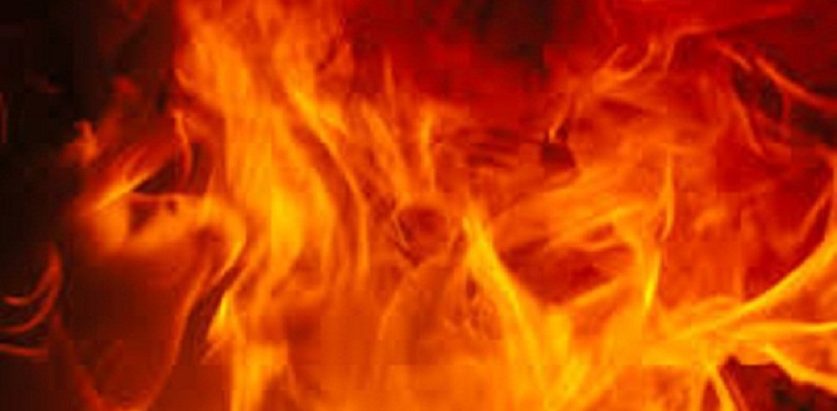 गौशालाको मोबाइल पसलमा आगलगी, लाखौंको क्षति