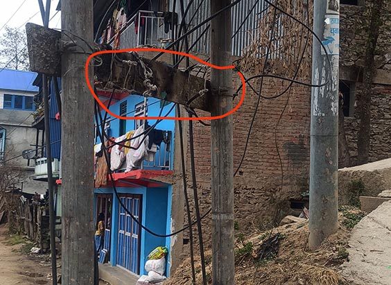 चरम लापरवाहीले बालबालिकाको ज्यान खतरामा