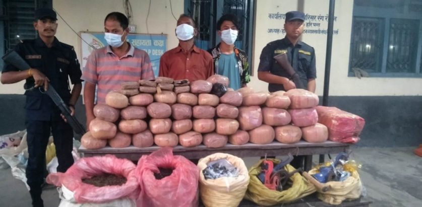 प्रतिबन्धित लागुऔषध गाँजा तथा चरेश पर्साको बाटो भई भारततर्फ तस्करी