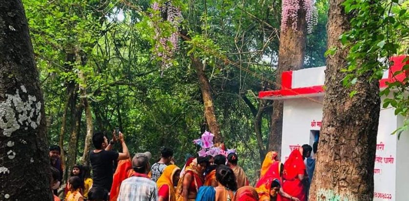 १ वैशाखमा मात्र फूल्ने सलहेश फूल हेर्नको भीड