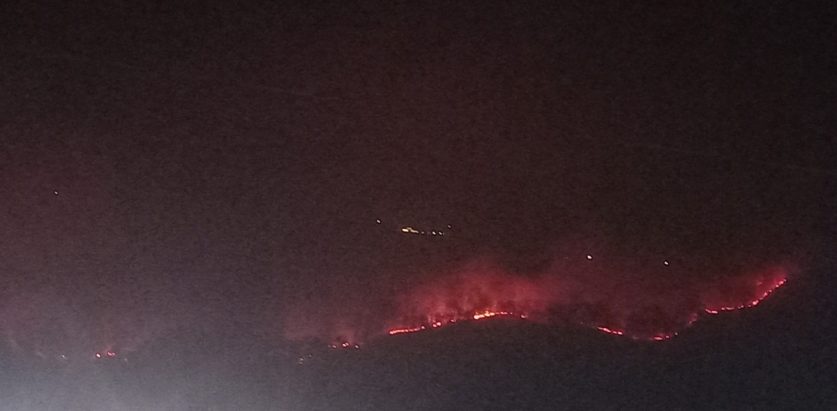 वनमा जताततै डढेलो, सर्वसाधारण त्रासमा, सरोकारवाला रमिते