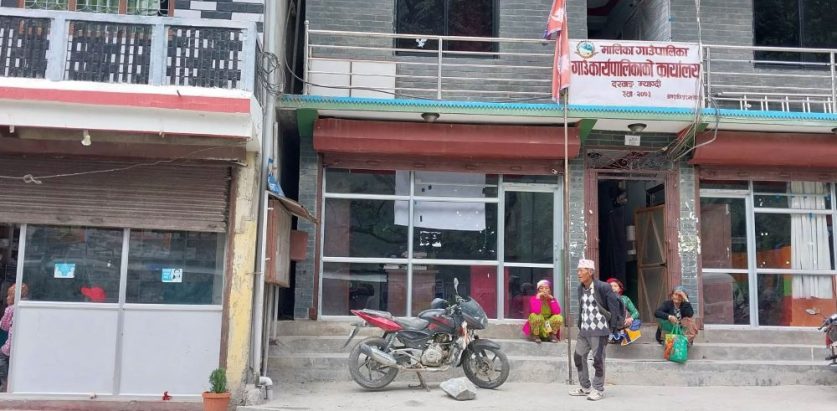 विनादर्ता सञ्चालनमा छन् औषधि पसल