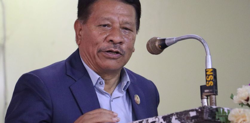 मिश्रित निर्वाचन प्रणालीले स्थिर राजनीति हुँदैन : प्रकाशमान सिंह