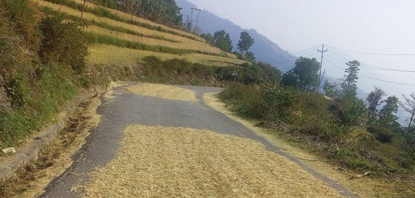 गहुँ सुकाउँदा दुर्घटनाको जोखिम