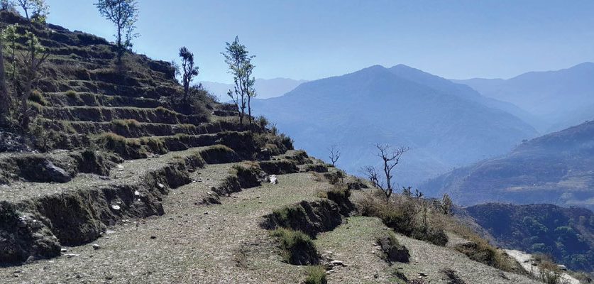 बाँझो जमिनको तिरो तिर्न भारतमा नोकरी