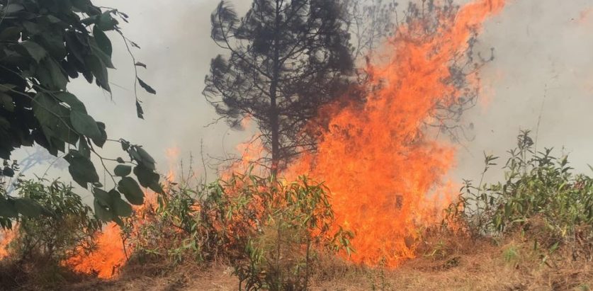 वनमा डढेलो, निभाउन समस्या