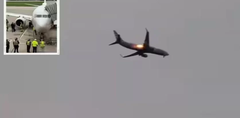 विमानसँग चरा ठोक्कियो, इन्जिनमा आगलागी