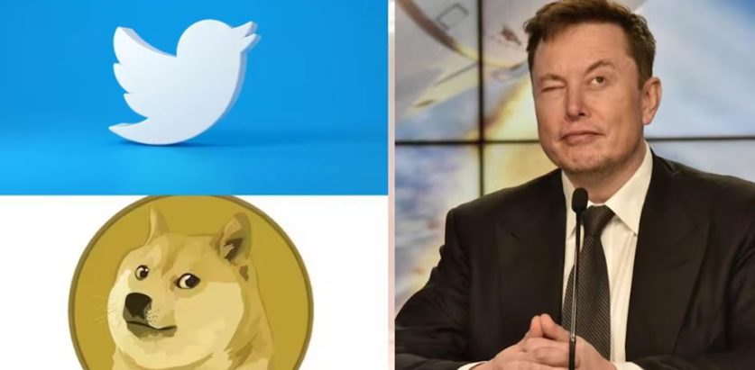 चराको ठाउँमा कुकुर राखेर ट्विटरको लोगो फेरियो