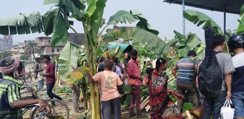 केराको बोटबाट जुस, पातको टपरी र हस्तकला