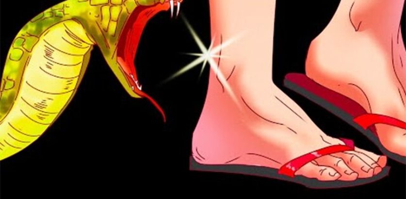 सर्पले डसेर दाजु–भाइको मृत्यु