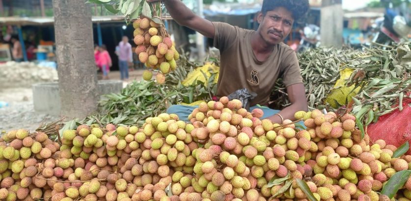 एक झुप्पा लिच्चीकाे सय