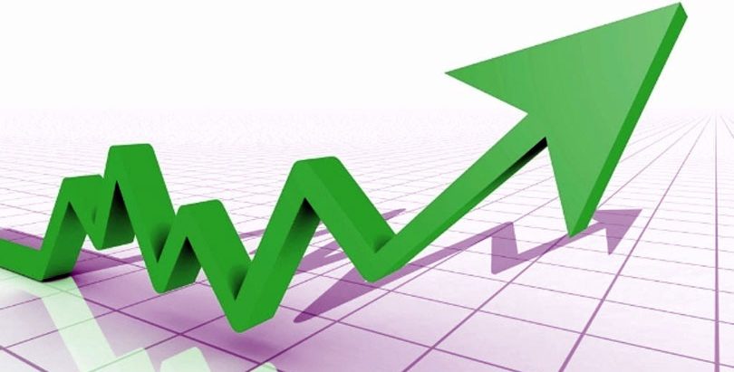 नेप्सेमा एकल अंकले वृद्धि, कारोबार रकम १ अर्ब २७ करोड