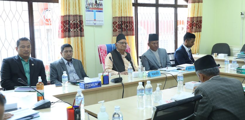 चित्रबहादुरले सभापतित्व, मानवअधिकार देउवाले