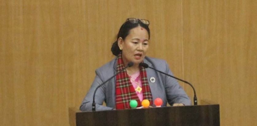 सरकारले केहि नगरेको भन्दै स्वास्थ्यमन्त्री निर्मला लिम्बुलाई दवाब