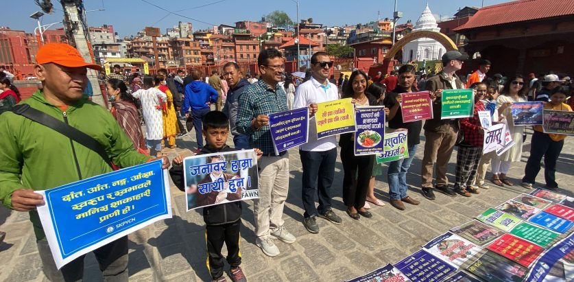 पशुपति मन्दिरमा पशुबली रोक्न सचेतना