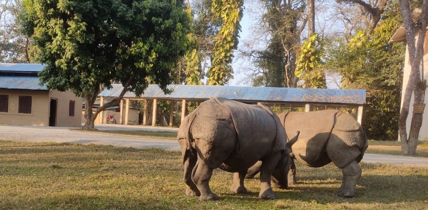 पुष्पा र अञ्जलीलाई लामिताल क्षेत्रमा छोडियो