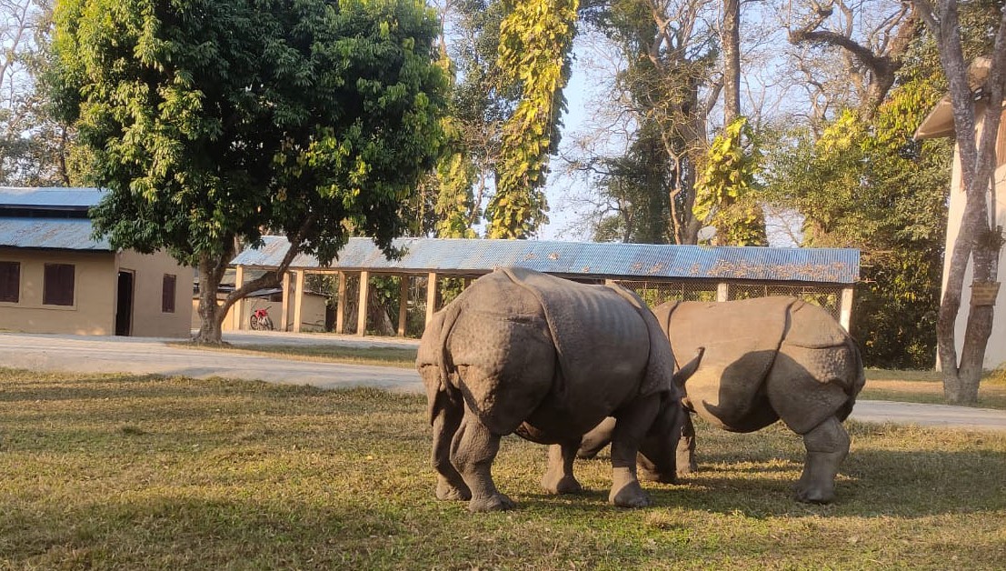 पुष्पा र अञ्जलीलाई लामिताल क्षेत्रमा छोडियो