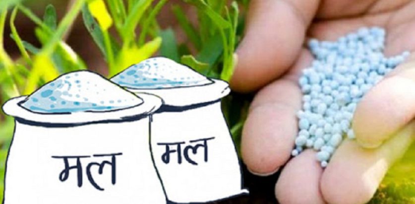 यसरी बाँडेको यति मल केमा प्रयोग गर्ने किसान चिन्तामा !