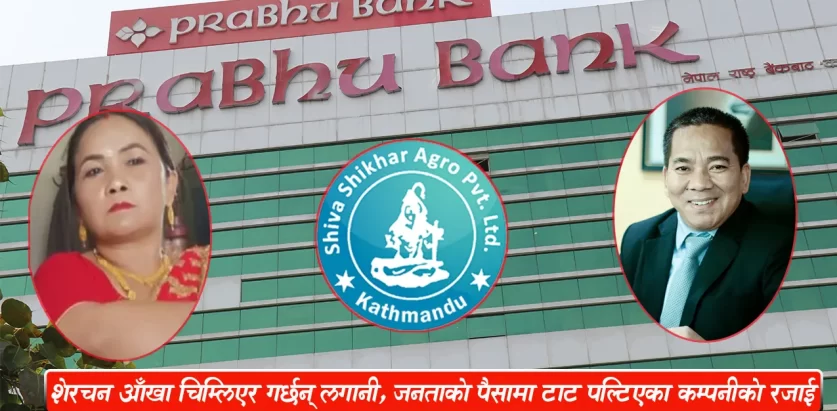 प्रभु बैंकका सीइओ शेरचनको अर्को बदमासी, टाट पल्टिएको शिव शिखर एग्रोका नाममा झण्डै १ अर्व ऋण प्रवाह