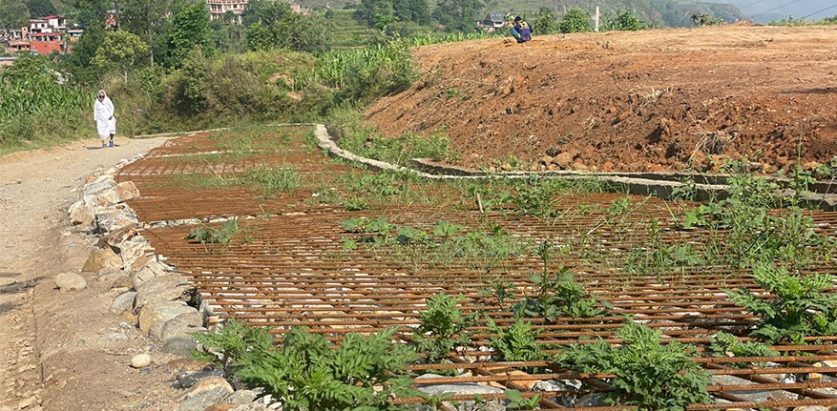 २०७८ देखी काम अलपत्र
