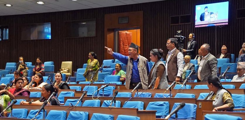 सदनमा यी कुराहरु ध्यान दिनै पर्ने