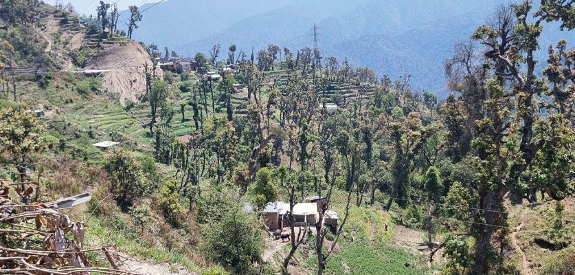 अतिक्रमणको चपेटमा महाभारत वन क्षेत्र
