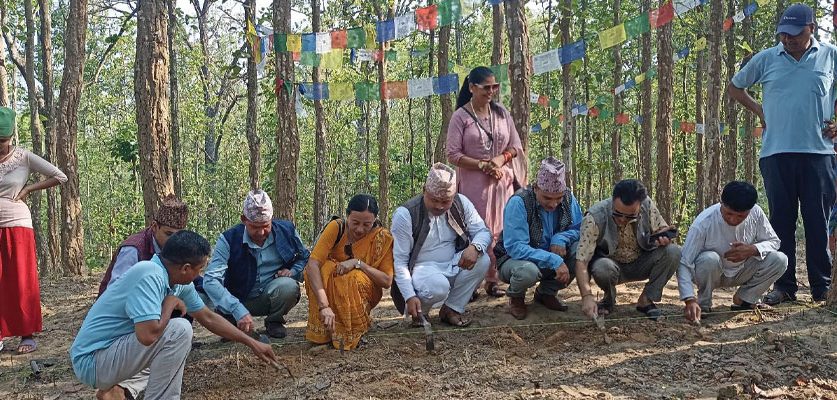 बुद्धको मावली देवदहमा उत्खनन सुरु