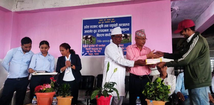 किसानले उत्पादन गर्ने दुधको आधारमा प्रदेश सरकारले दियो अनुदान