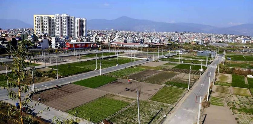 यो बर्ष नसोचेकै कारोबार भयो घरजग्गामा