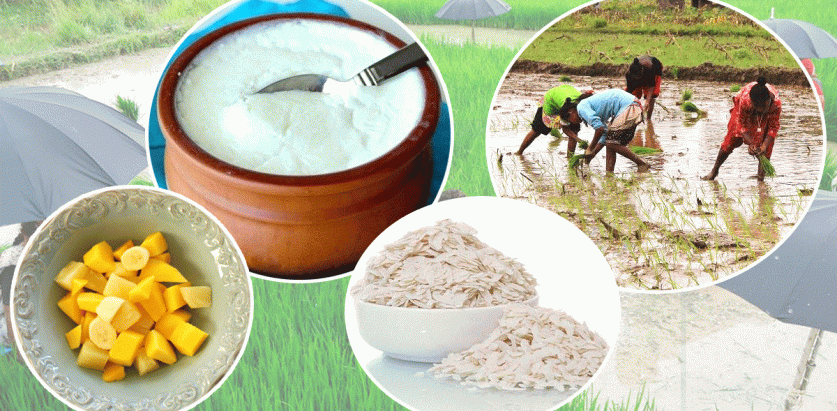 देशभरीनै आज धान दिवस मनाइदै