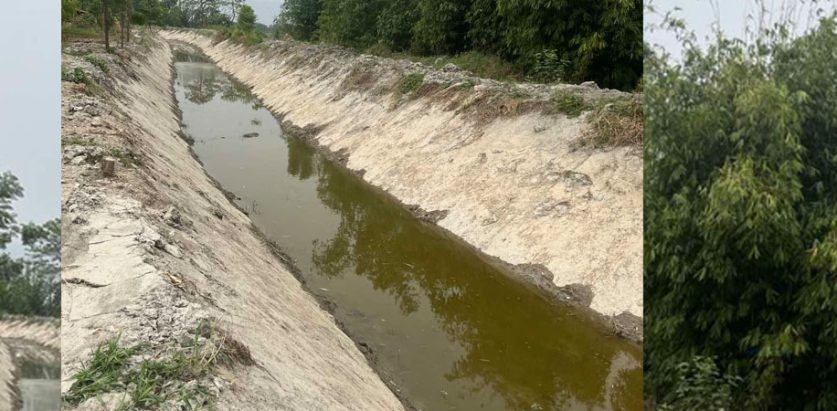 चालीस वर्षपछि नारायणी लिफ्टको मटर फेरियो